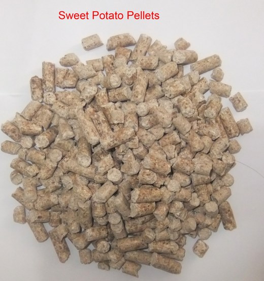 Representative sweet potato pellets